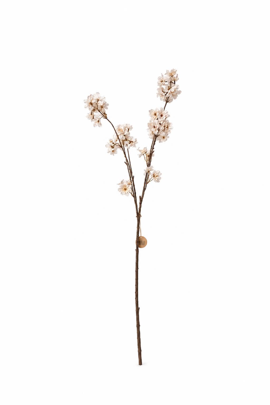 Kersenbloesemtak wit