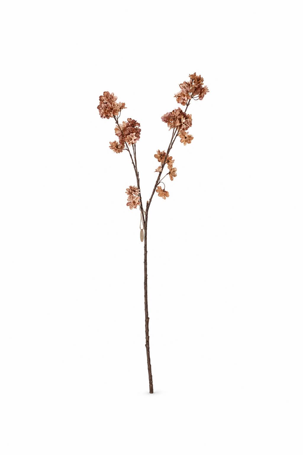 Kersenbloesemtak beige